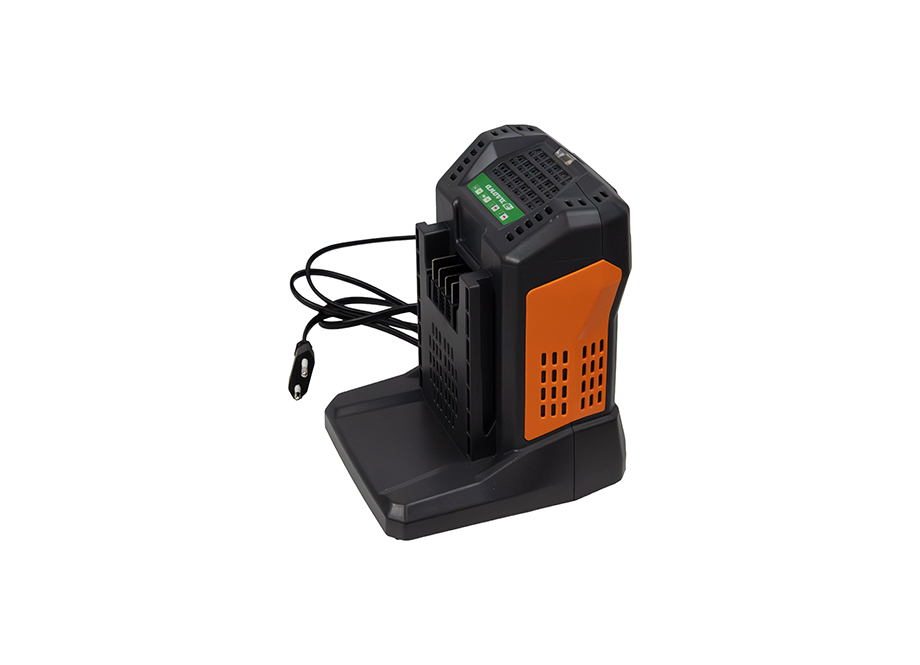 Cargador batería 5,5A