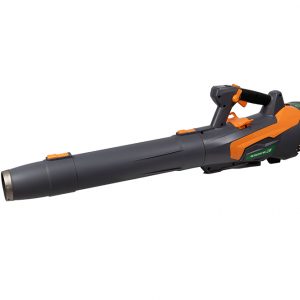 Soplador de hojas con batería